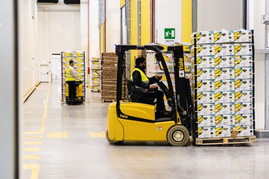 Ein Mix aus Gegen-
gewichtstaplern, Niederhubwagen
und Kommissionierstaplern sorgt für unterbrechungsfreie Transporte im größten Reifungszentrum Europas von Chiquita in Cortenuova bei Bergamo. Bild: Stefano Fossati