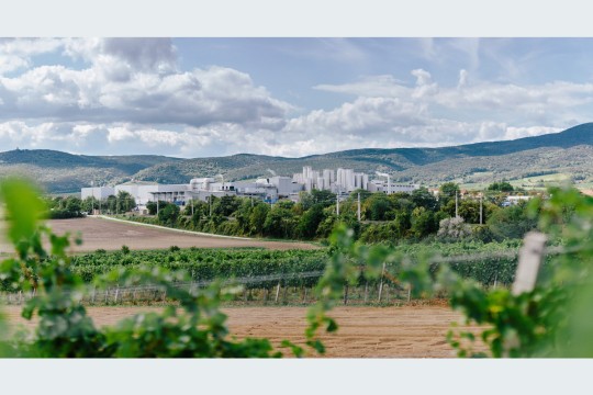 Die NÖM AG führt mit Knapp am Standort Baden, Österreich, SAP EWM inklusive MFS als WMS und WCS ein. Die Softwareeinführung begann im manuellen Lager in Guntramsdorf und wird auf die stärker automatisierte Logistik in Baden ausgeweitet. (Bildquelle: NÖM AG/Mario Pampel)