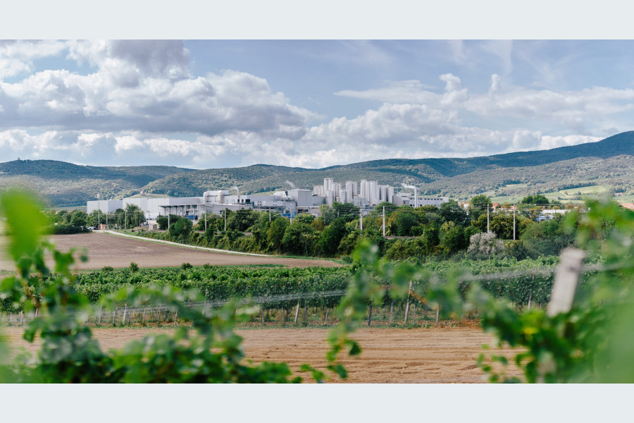 NÖM AG is introducing SAP EWM including MFS as WMS and WCS with Knapp at the Baden, Austria site. The software implementation began in the manual warehouse in Guntramsdorf and will be expanded to the more automated logistics in Baden. (Image source: NÖM AG/Mario Pampel)
