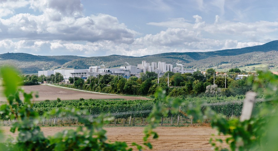 Die NÖM AG führt mit Knapp am Standort Baden, Österreich, SAP EWM inklusive MFS als WMS und WCS ein. Die Softwareeinführung begann im manuellen Lager in Guntramsdorf und wird auf die stärker automatisierte Logistik in Baden ausgeweitet. (Bildquelle: NÖM AG/Mario Pampel)